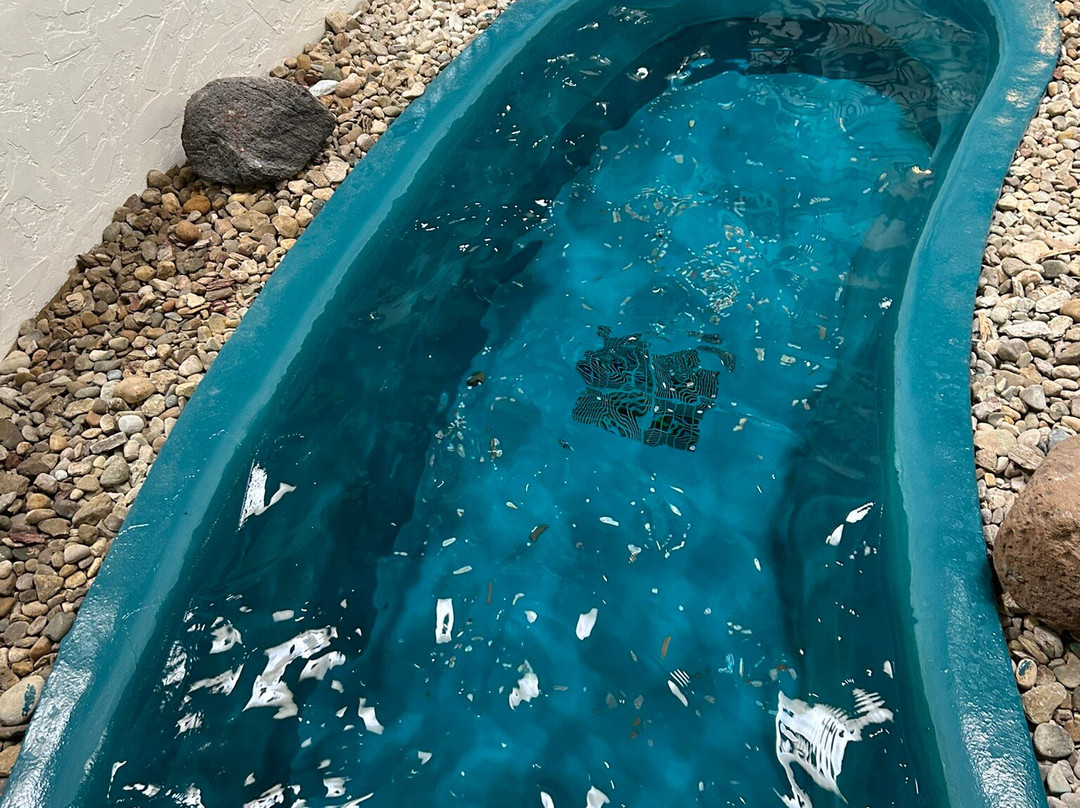 Holiday Inn & Suites Cincinnati-eastgate (i-275e) By IHG主图