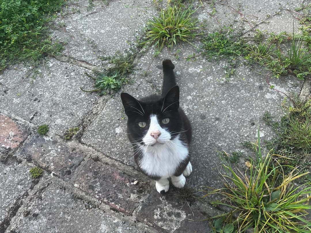 Moaps Farm Bed and Breakfast主图