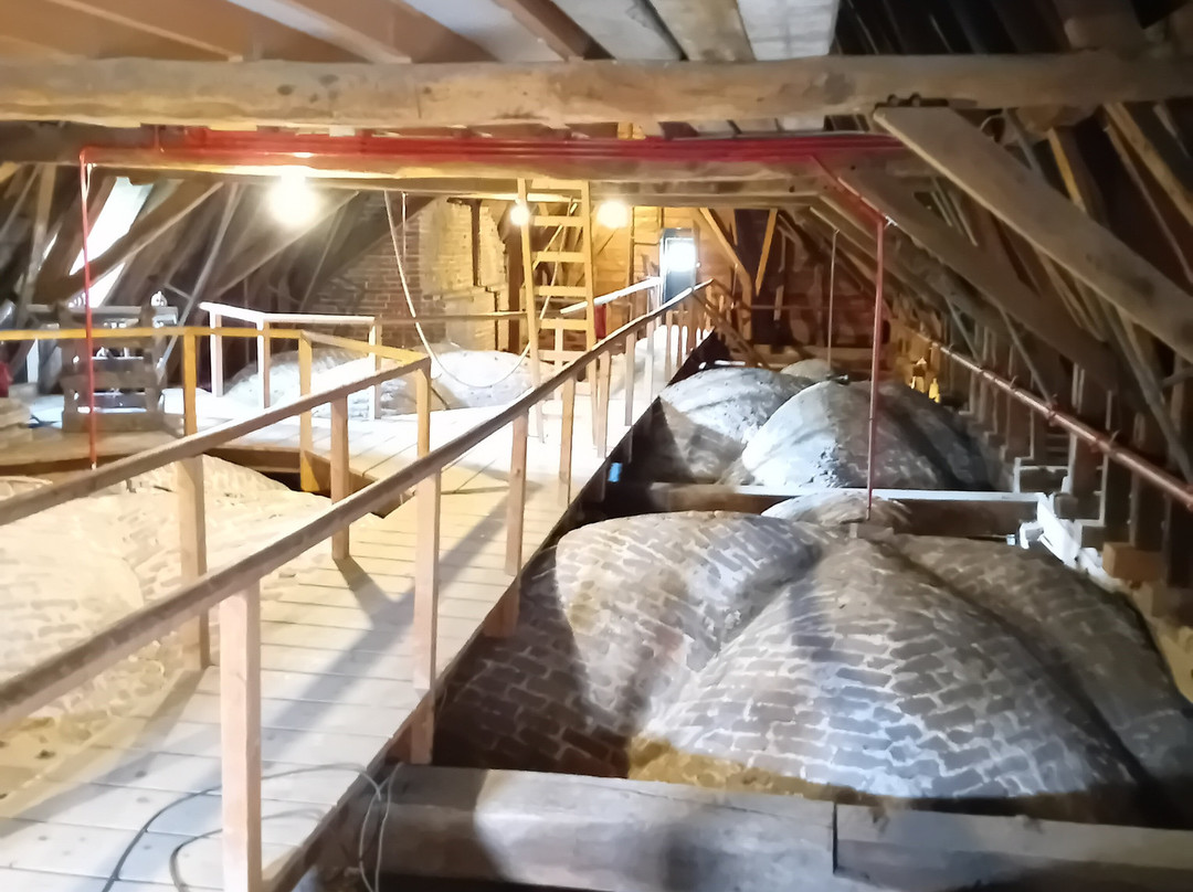 Martinikerk-格罗宁根省必去景点