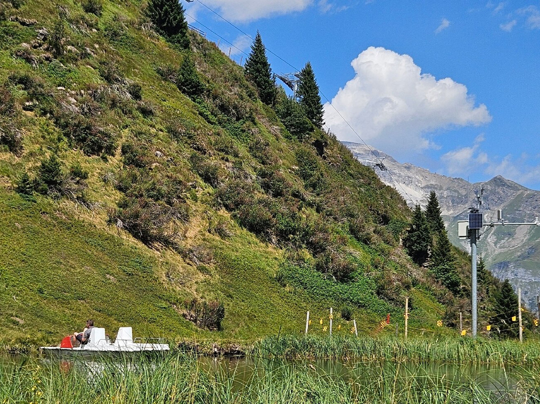 Edelweisshütte主图