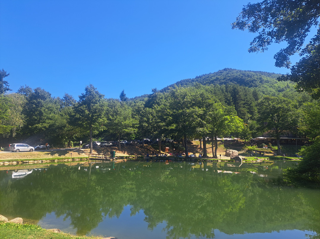 Lago Pontini-Bagno di Romagna必去景点