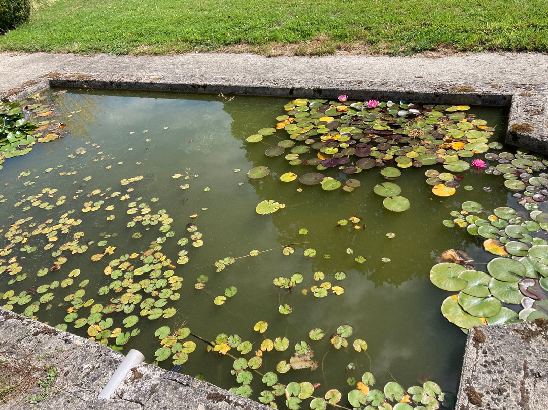 Manoir de la Villeneuve主图