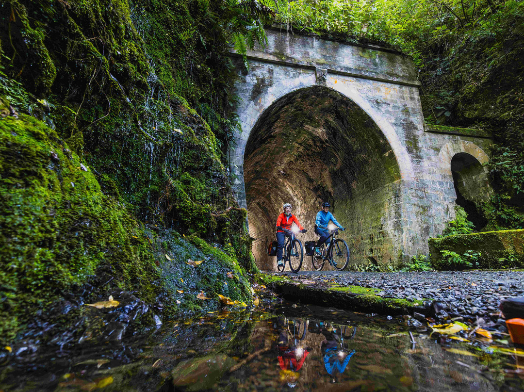 Cycle Remutaka-下赫特必去景点