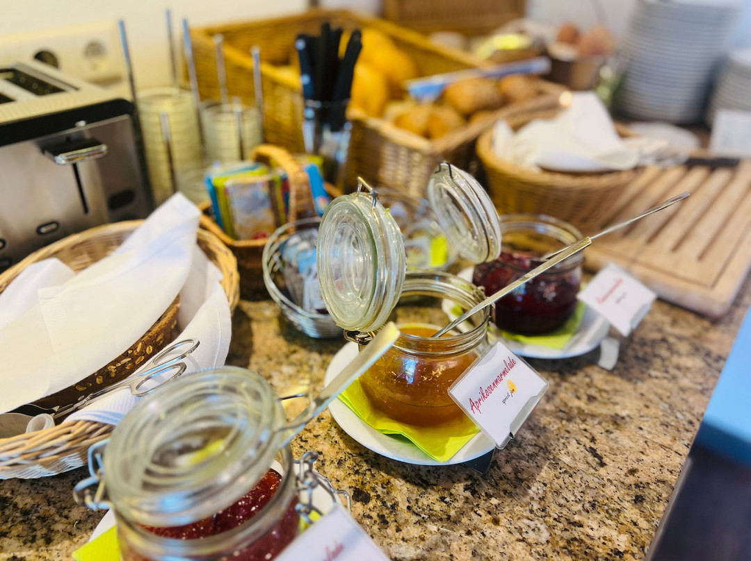 索妮哈德乡村酒店主图