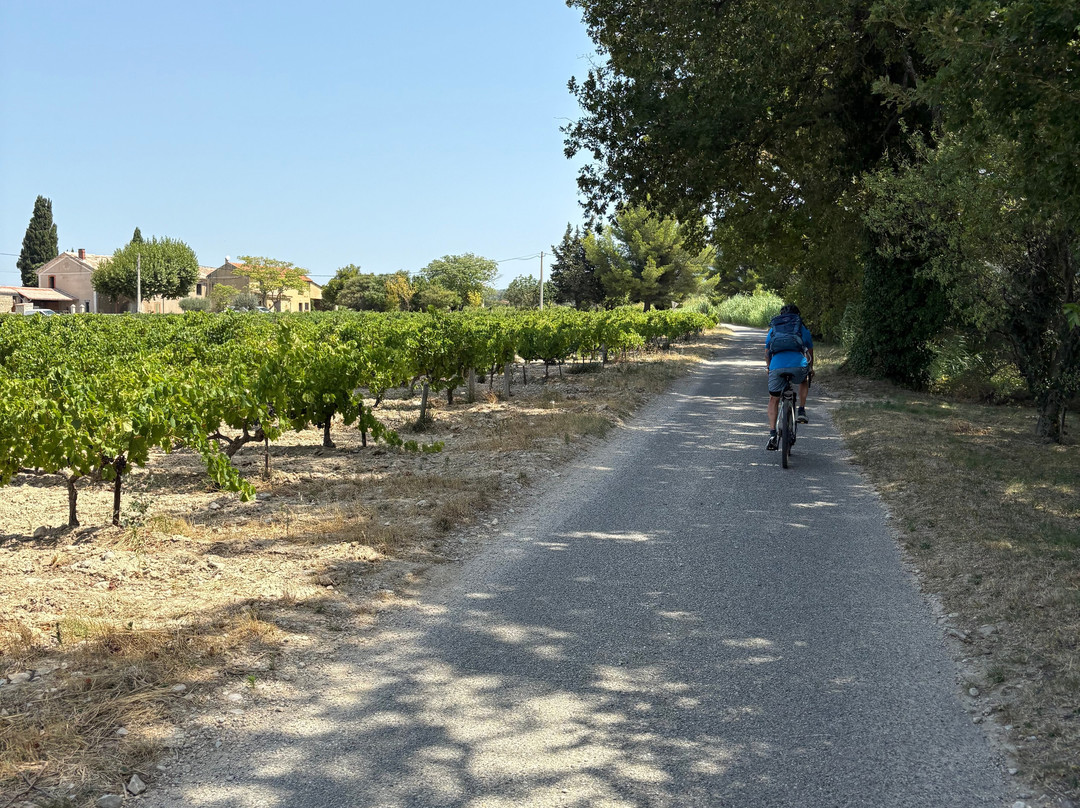 Sun-E-Bike-韦松拉罗迈纳必去景点