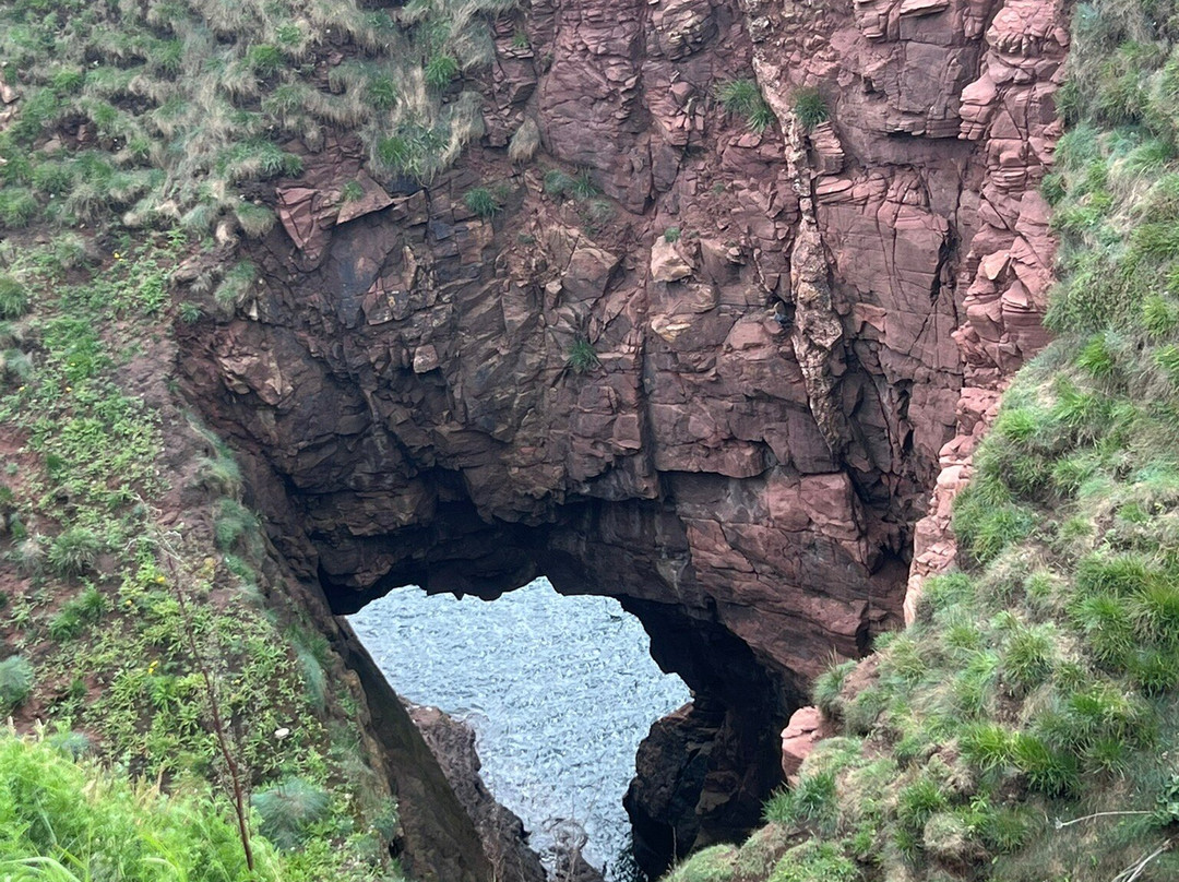 Arbroath Cliffs-Arbroath必去景点