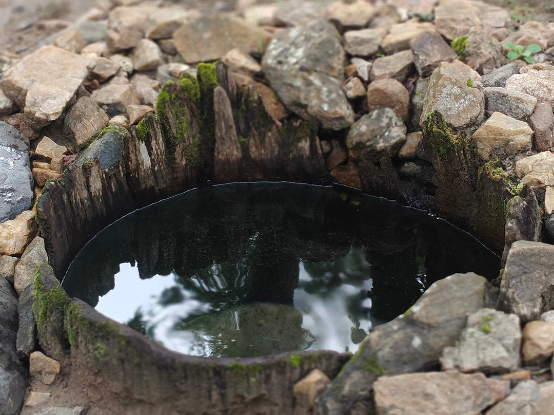 Crystal Kuruva Nature Resort & Spa主图