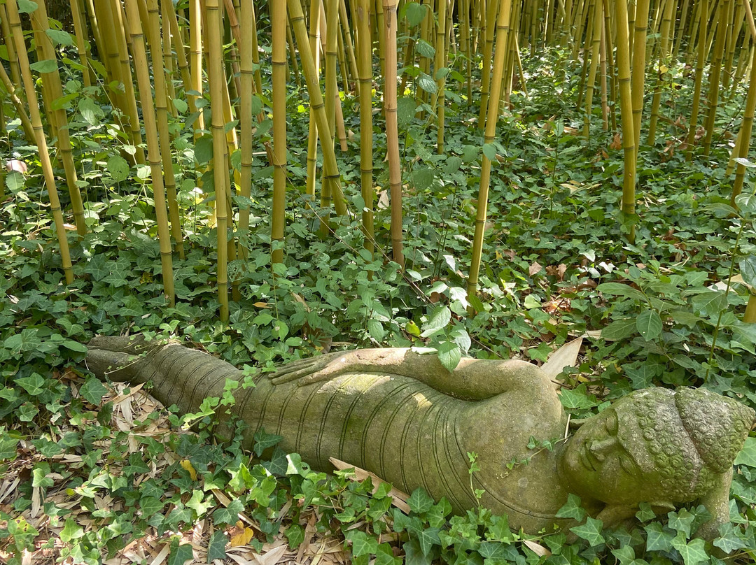 Bambous En Provence-Eyragues必去景点