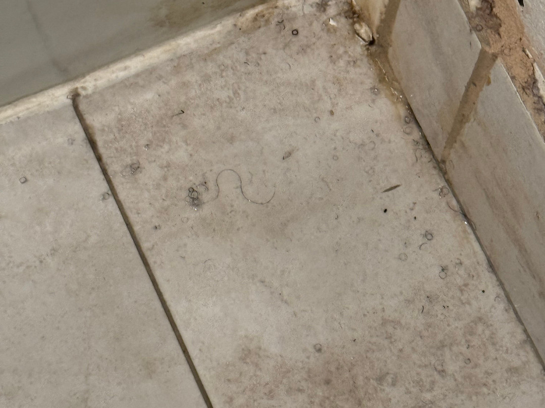 MainStay Suites Springfield IL主图