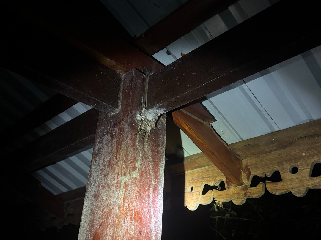 Tropilocal Tours-Manzanillo必去景点