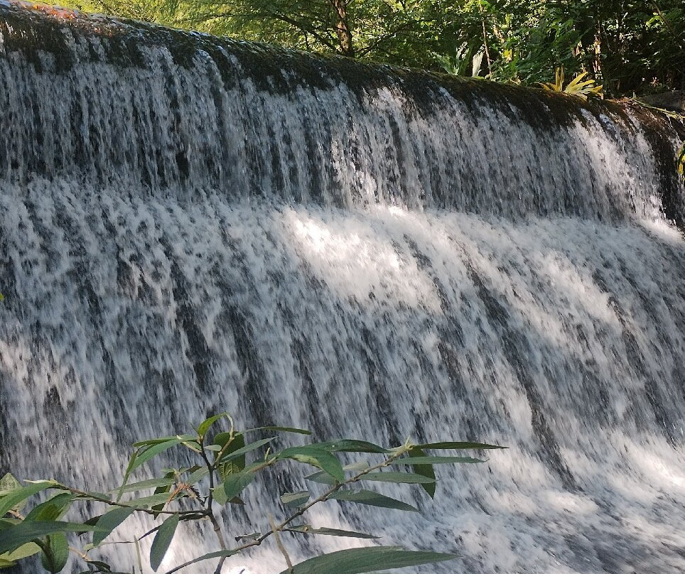 Parque Barranca Chapultepec-奎尔纳瓦卡必去景点