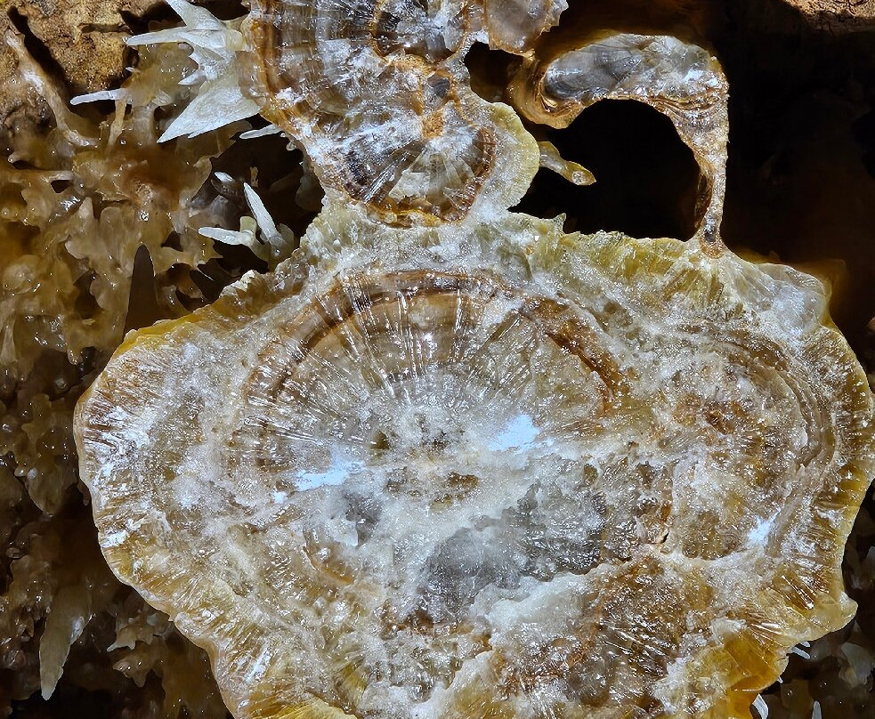 La grotte de Maxange-Le Buisson-de-Cadouin必去景点