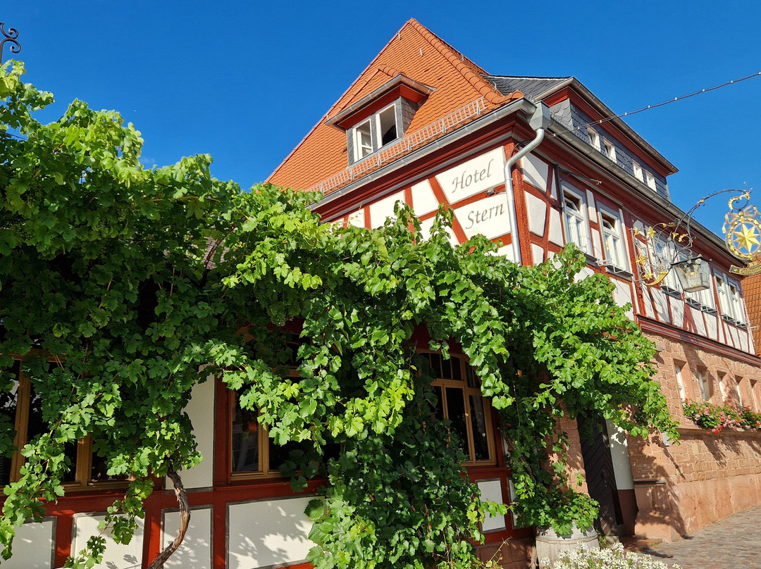 Weinhaus Stern Hotel主图