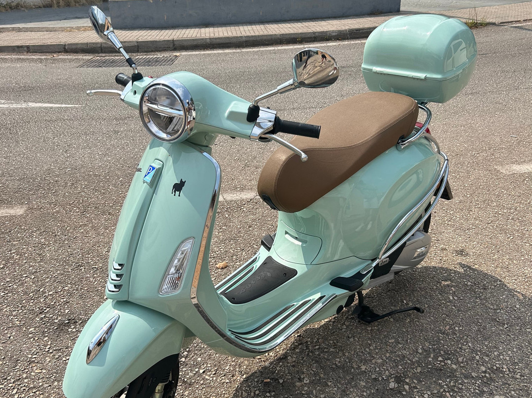 Bullimoto Port Soller-索列尔港必去景点