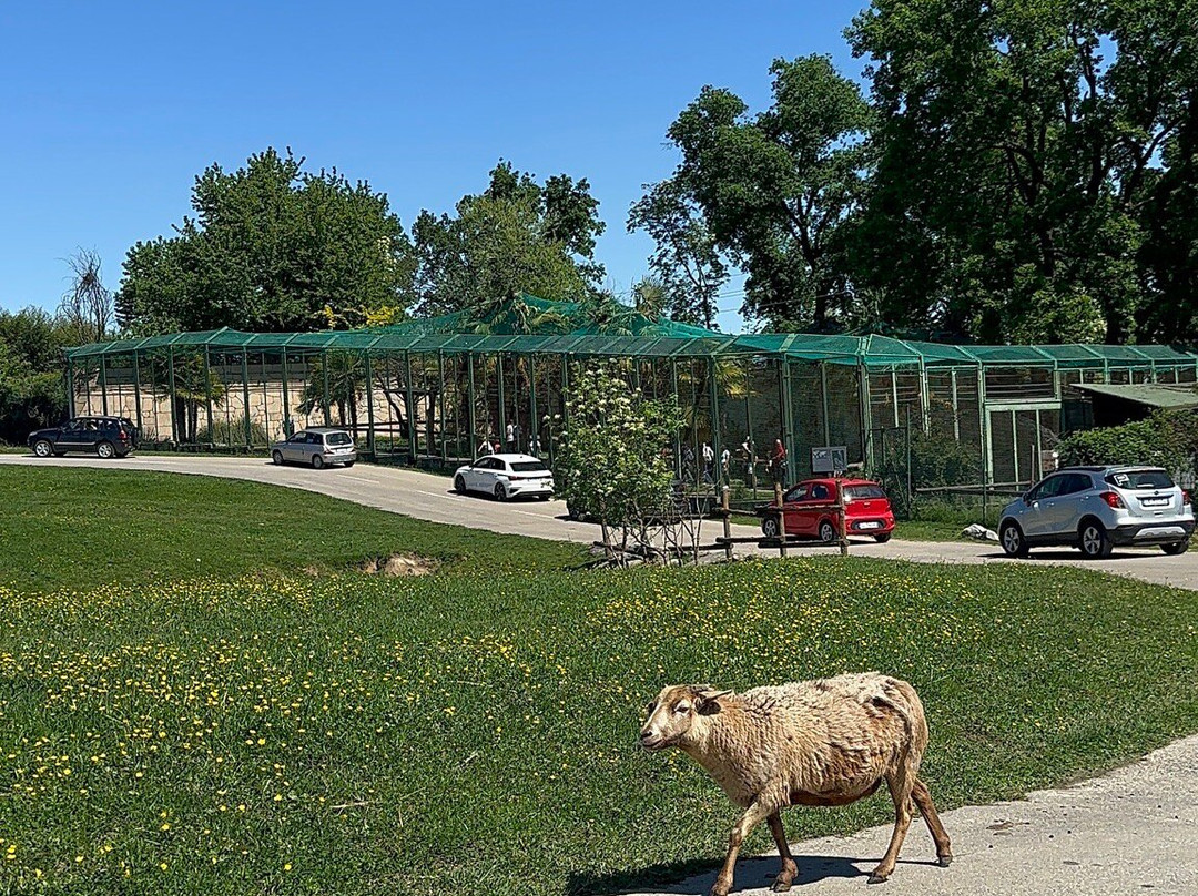 Safari Park-Pombia必去景点