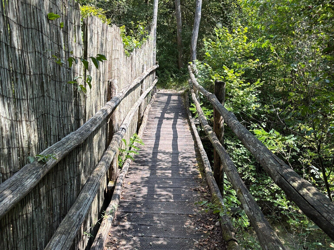 Riserva Naturale Vincheto di Celarda-Celarda必去景点