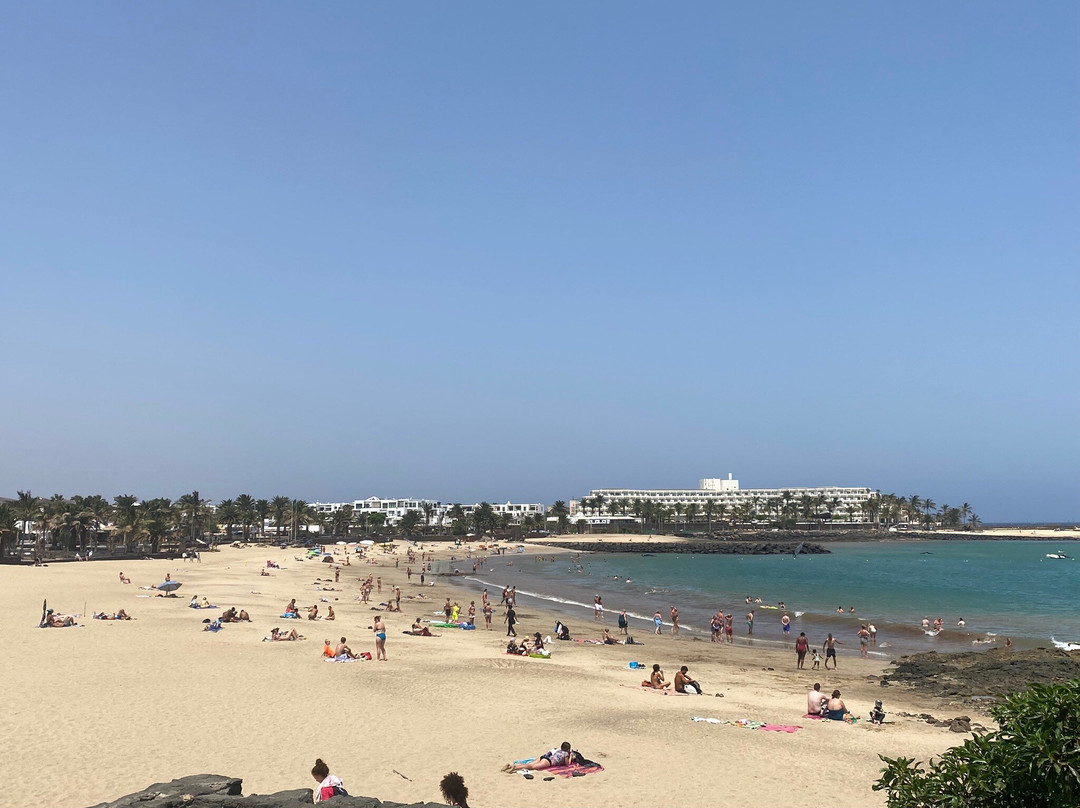 Playa de las Cucharas-科斯塔特吉塞必去景点