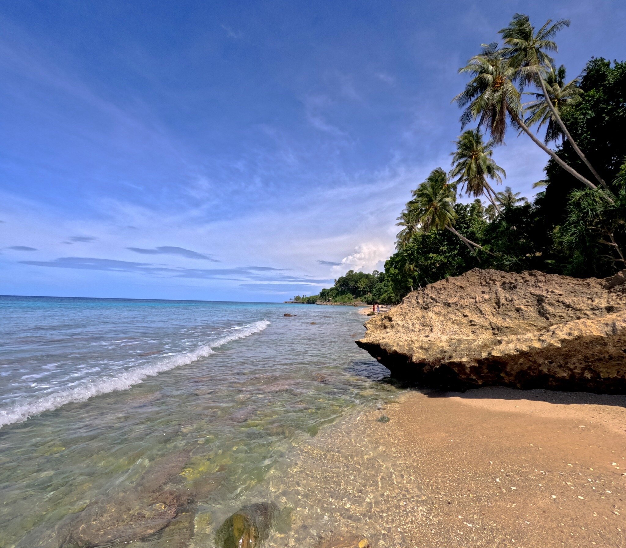 Freddies Santai Sumurtiga-官方