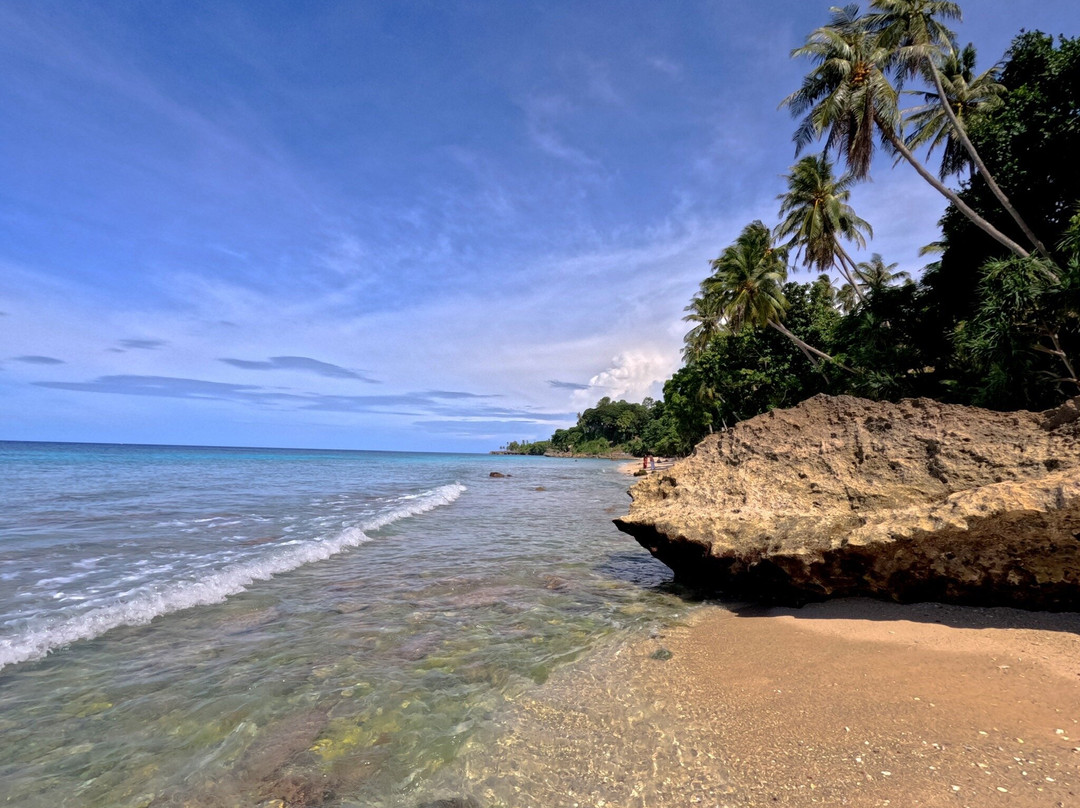 Freddies Santai Sumurtiga主图