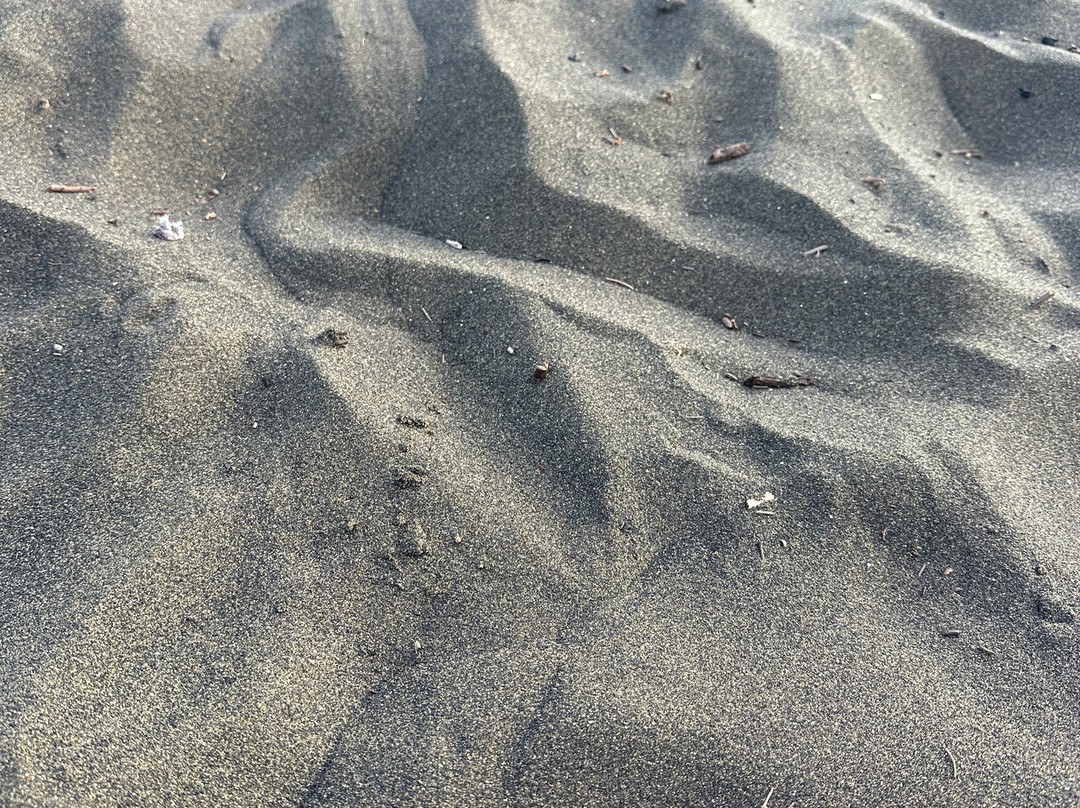 Plage De L'étang Salé-Etang Sale Les Bains必去景点