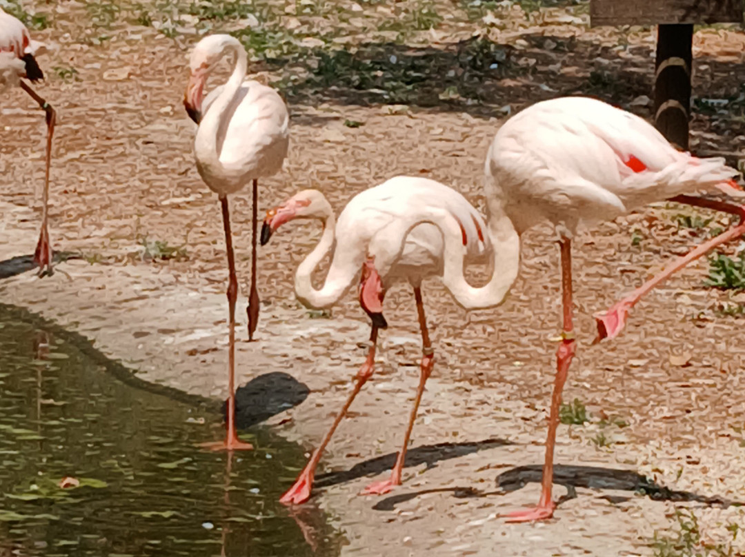 Zoodyssée-Villiers-en-Bois必去景点