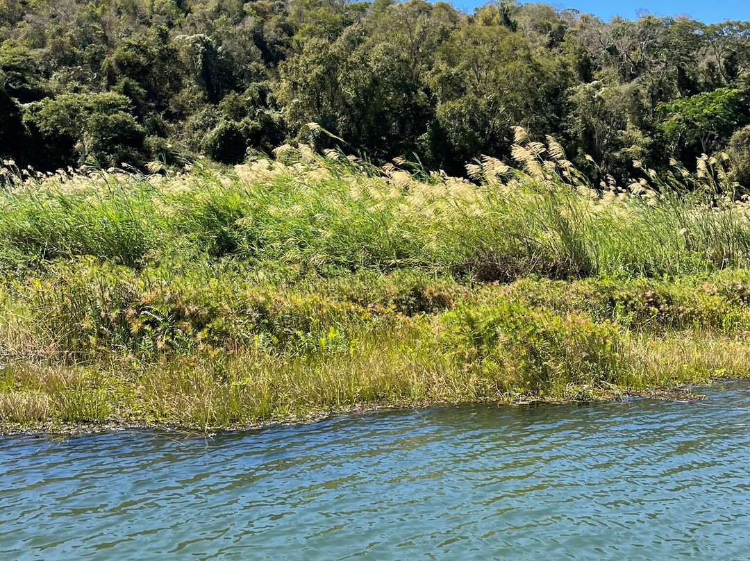 Ankarafantsika National Park-马哈加那必去景点