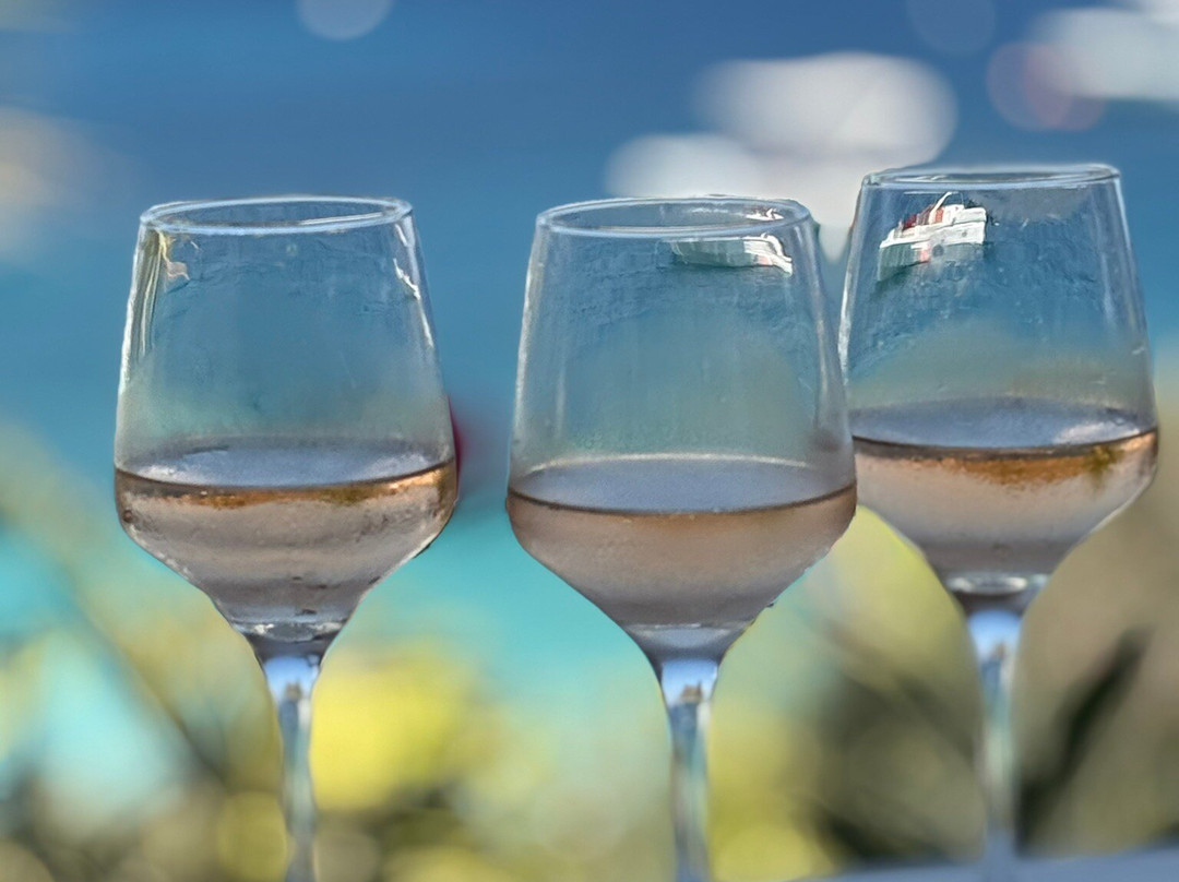 Zante Vipboats-阿雷克斯必去景点