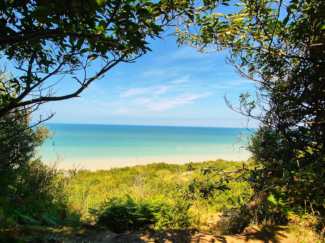 Phare d'Ailly-Sainte-Marguerite-sur-Mer必去景点