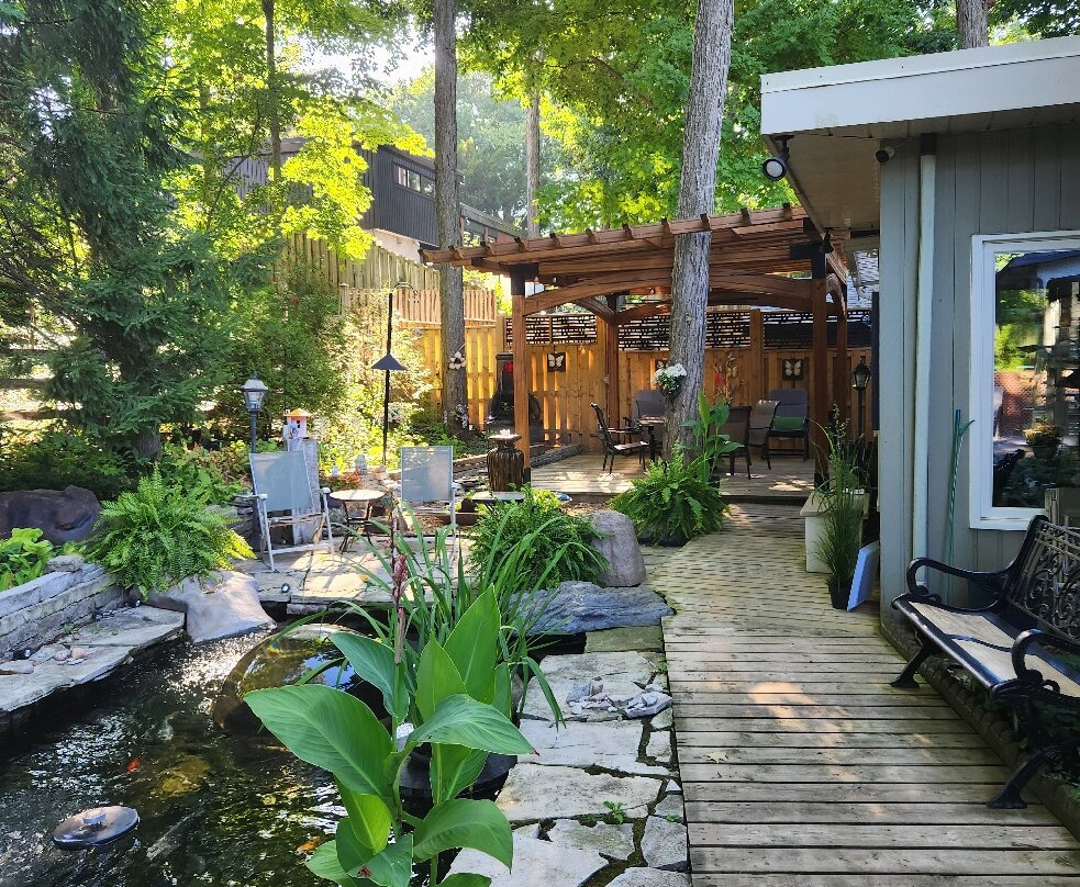 Forest Hill Bed and Breakfast主图