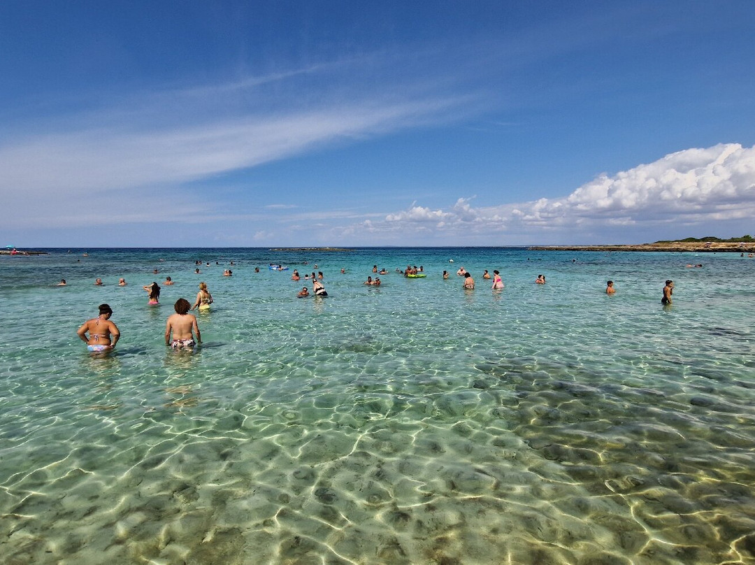 Spiaggia del Frascone-Sant'Isidoro必去景点