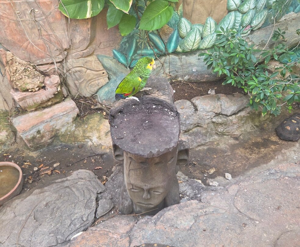 Amazonia: The Jungle Experience Tour-威廉斯塔德必去景点