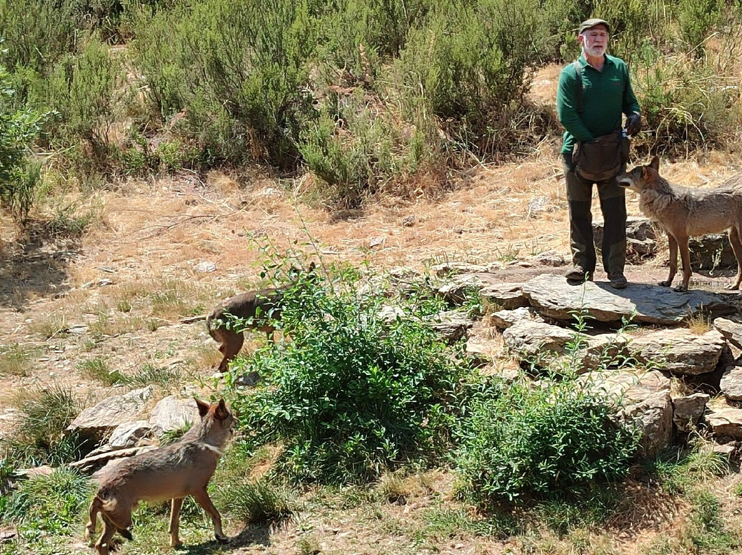 Centro del Lobo Iberico-Puebla de Sanabria必去景点