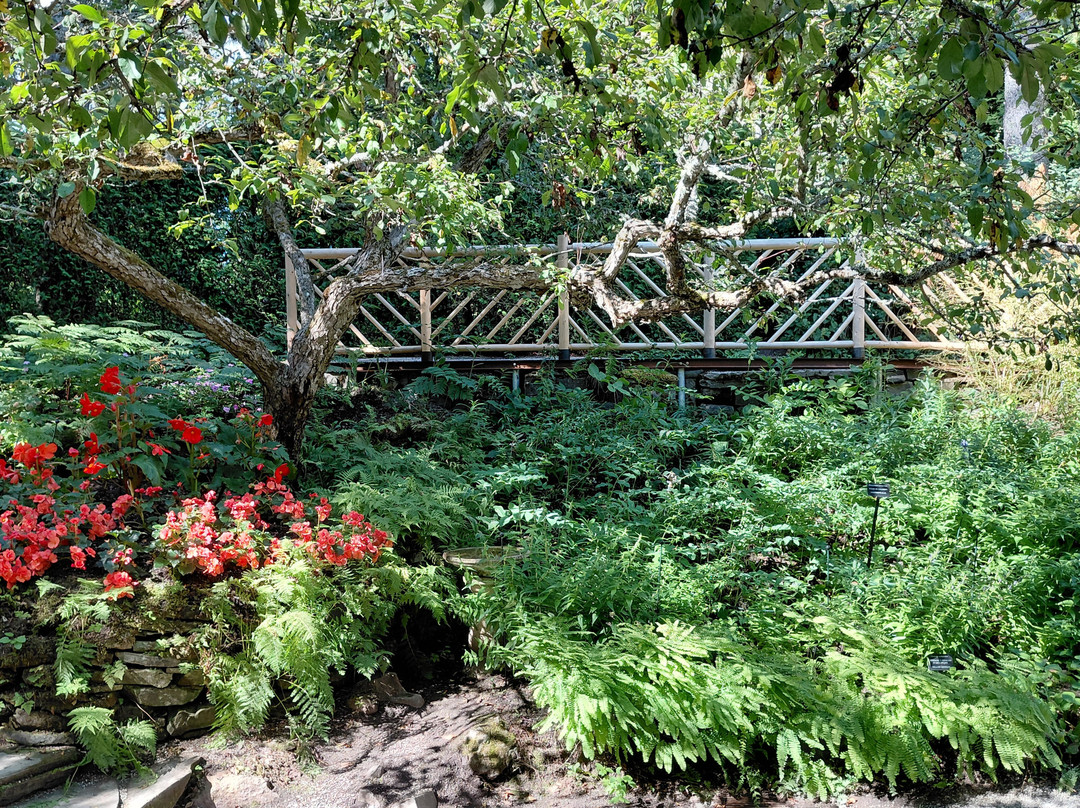 Jardins de Metis / Reford Gardens-Grand-Metis必去景点