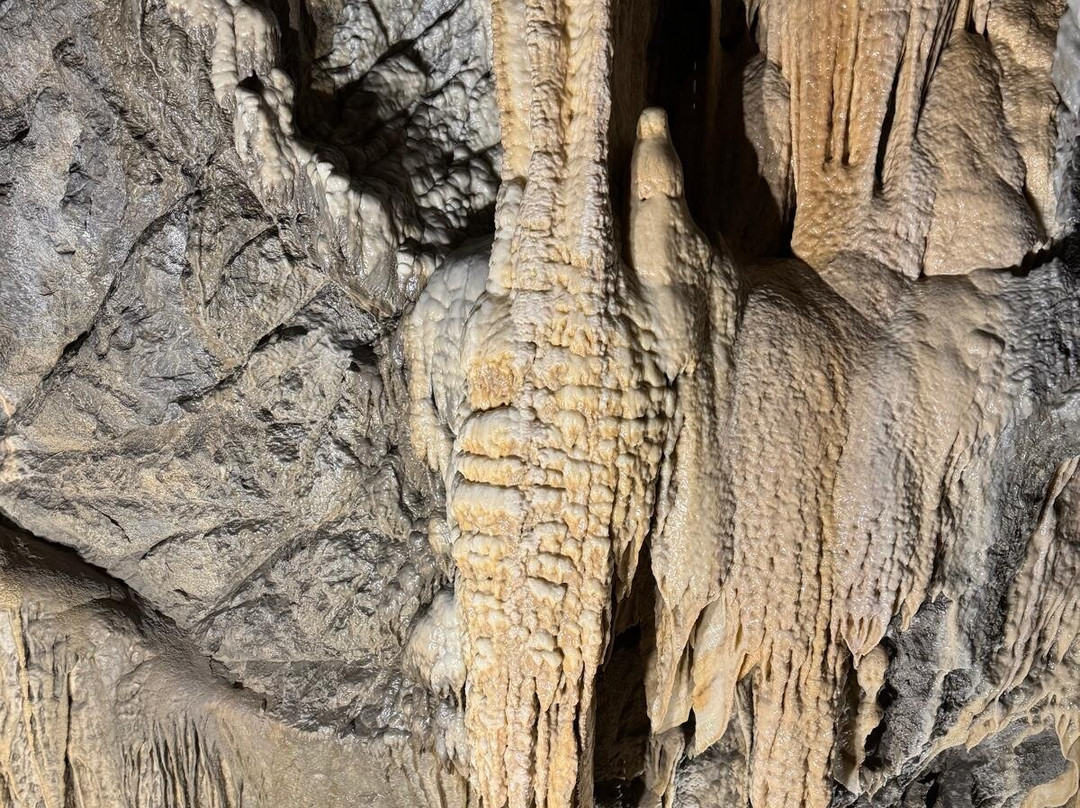 Grotta del Vento-Fornovolasco必去景点