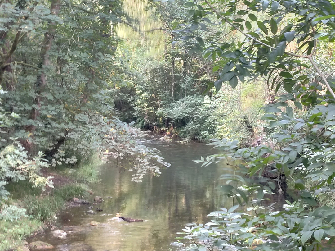 TeverAstur Senda del Oso-Teverga Municipality必去景点