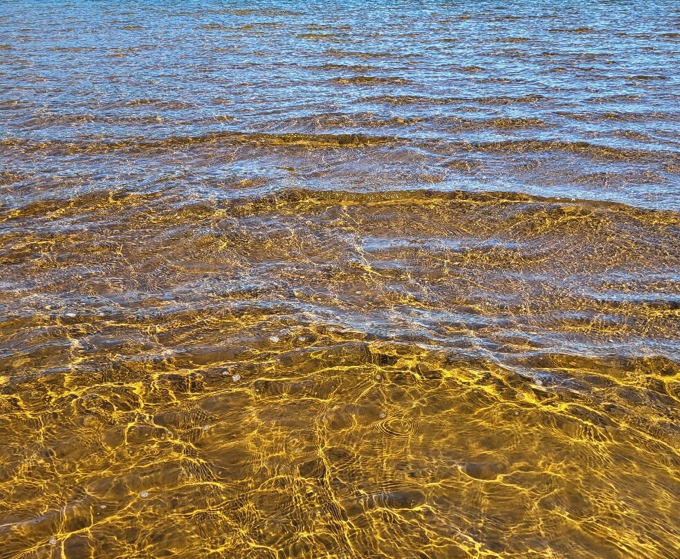 Papineau Public Beach-班克罗夫特必去景点