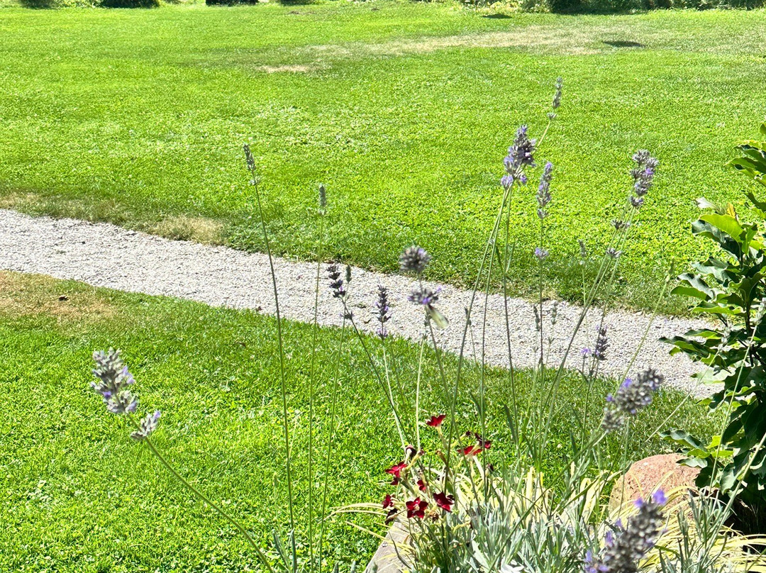 Vitalpinum-Assling必去景点