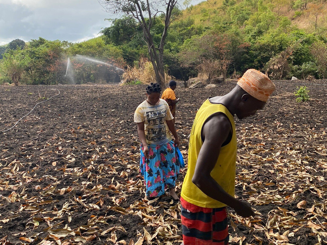 Chizua Waterfalls  Mikumi National Park-米库米国家公园必去景点