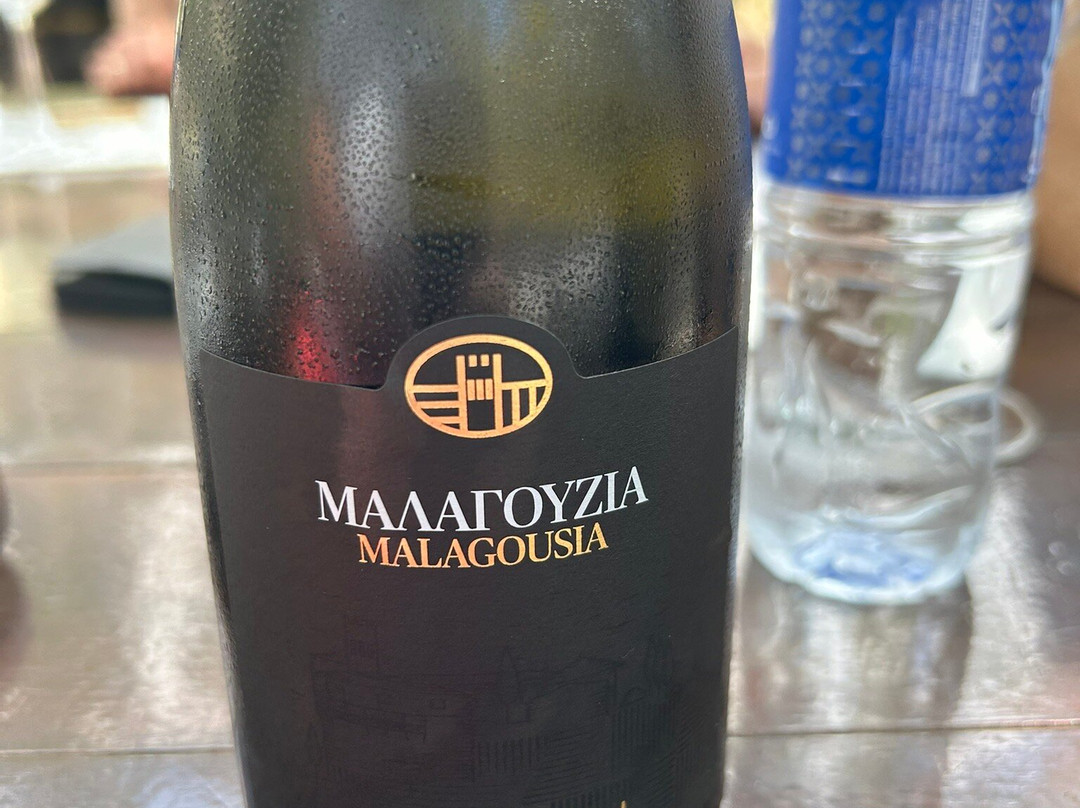 Domaine Porto Carras-Neos Marmaras必去景点