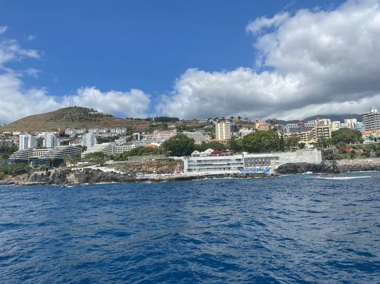 Living Sea Boat Trip-沙尔必去景点