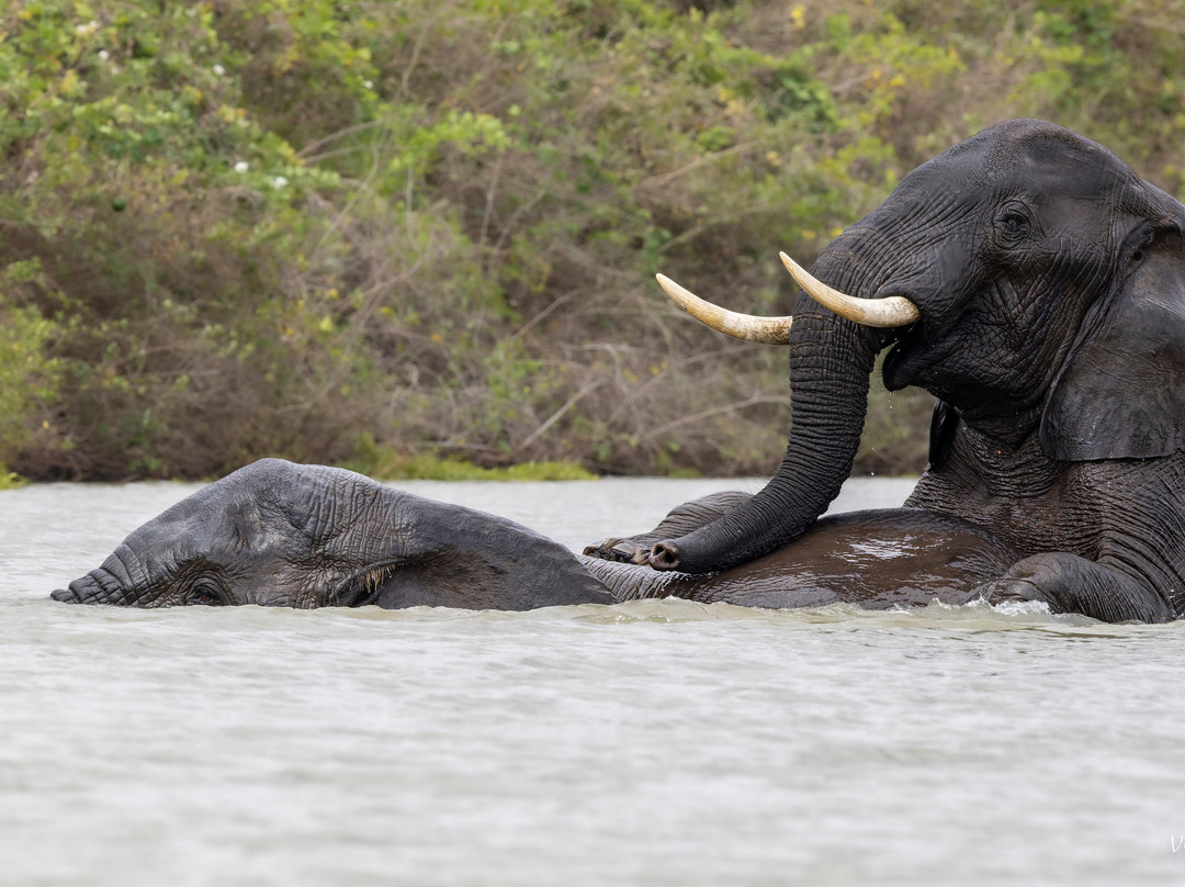 Travel with Deo-Mloka必去景点