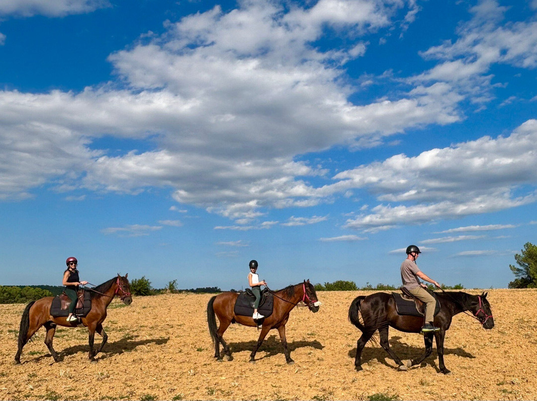 Panorama Trails-Terradelles必去景点