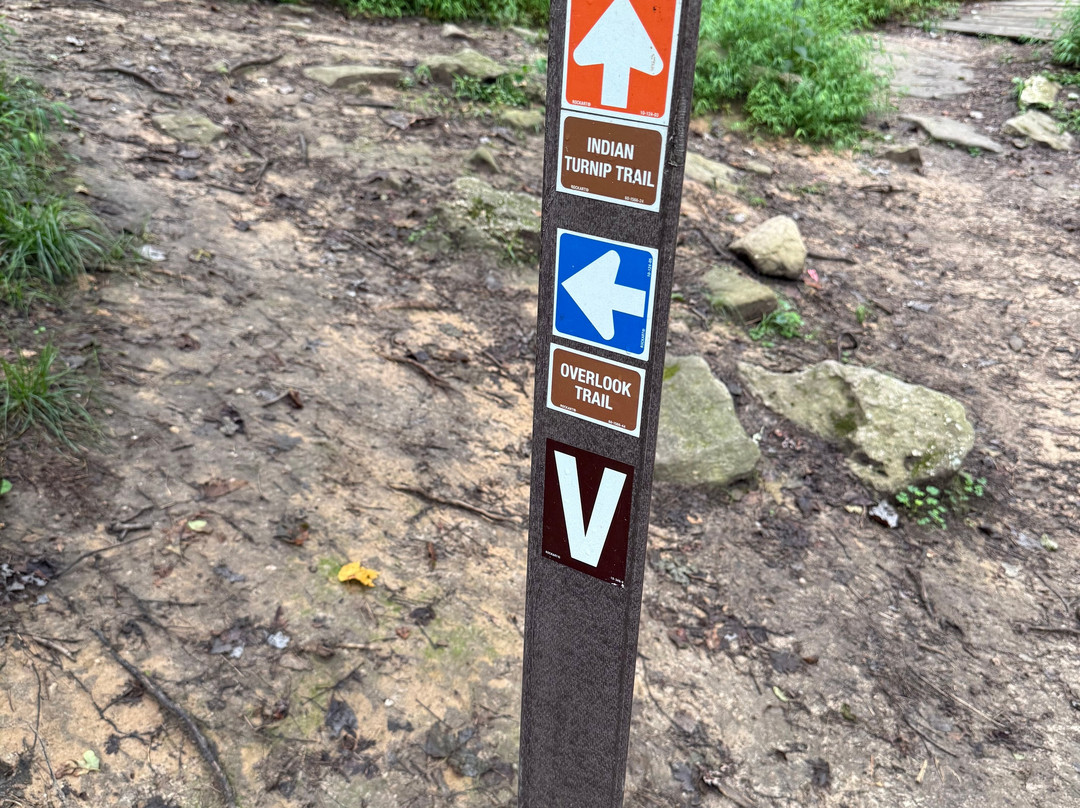 Deep Creek Lake State Park-Oakland必去景点