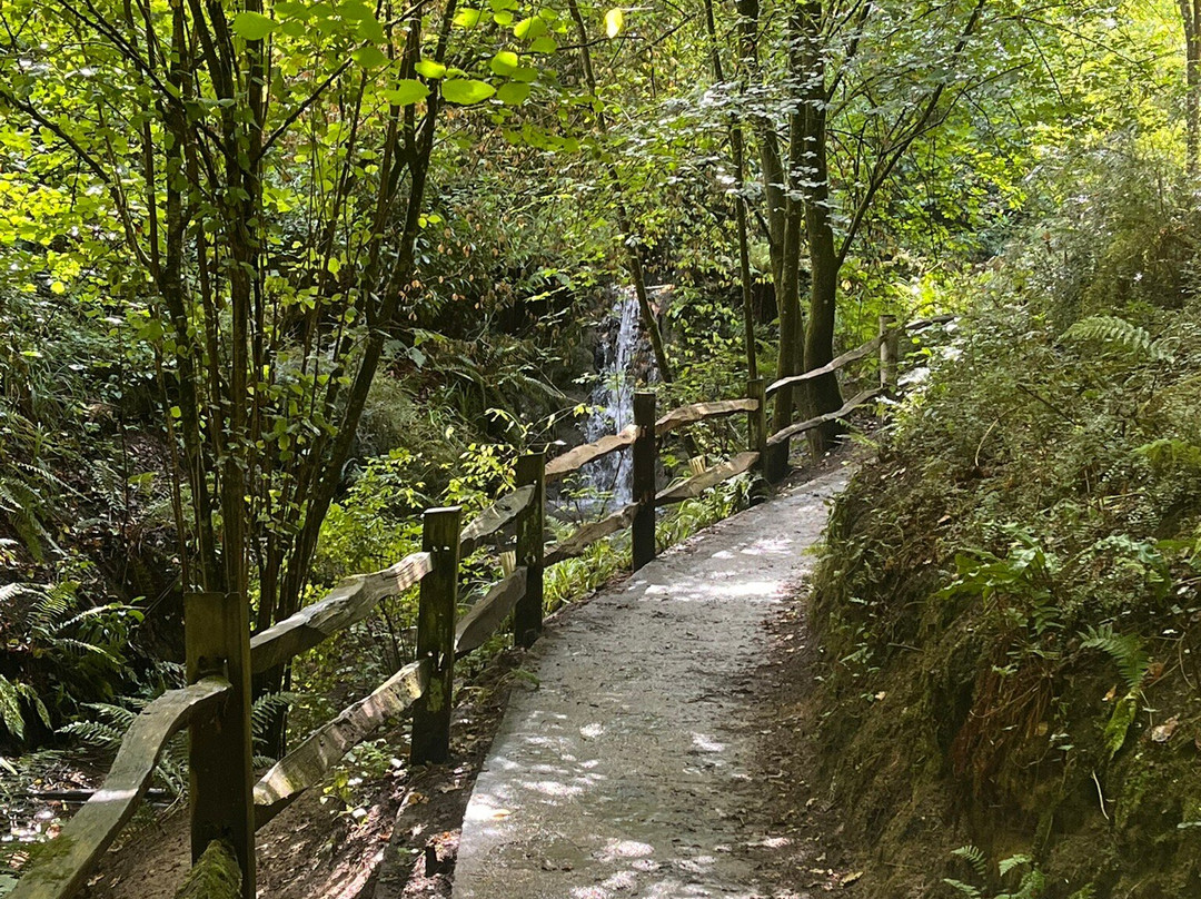 Ninesprings Country Park-约维尔必去景点