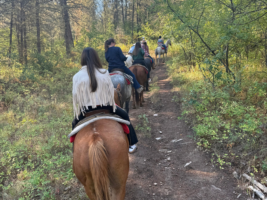 Mill Iron Ranch-杰克逊必去景点