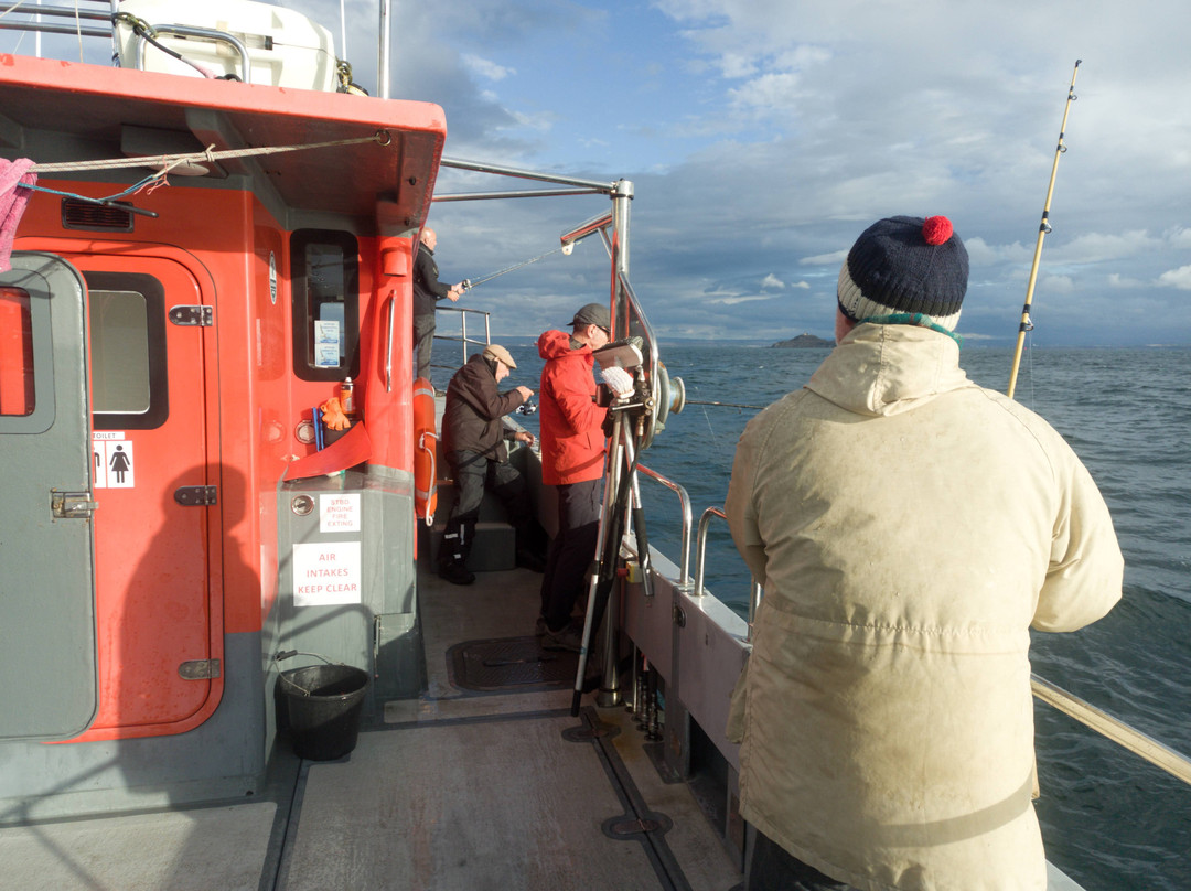 Forth Sea Safaris-Burntisland必去景点