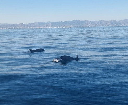 Borrasca Experience-班纳玛德纳必去景点