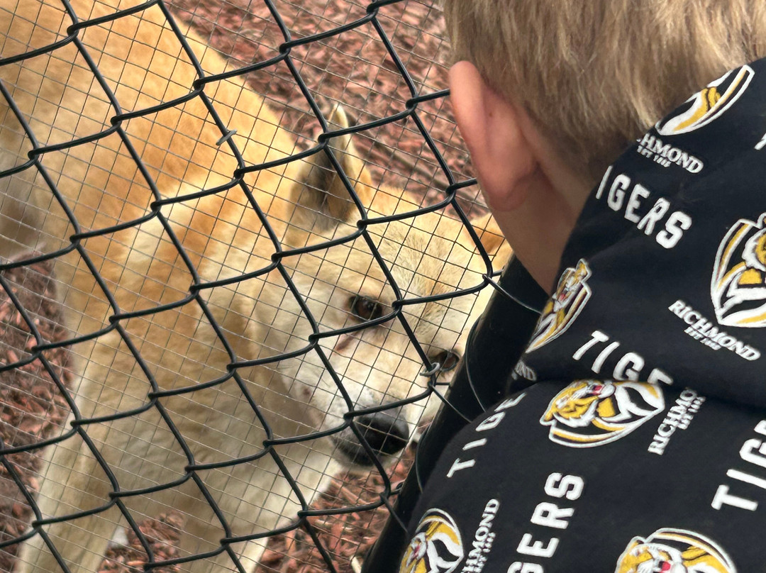 Maru Koala and Animal Park-Grantville必去景点