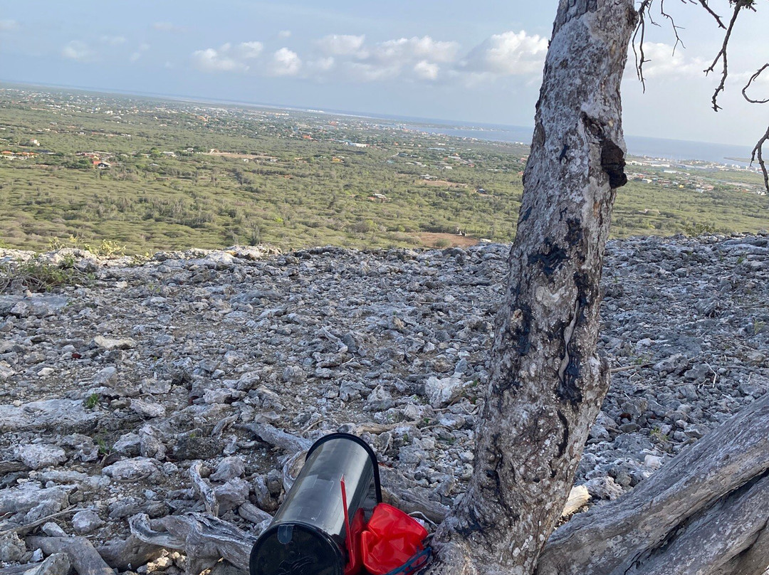 Kindred Spirit Seru Largo Bonaire-Kralendijk必去景点