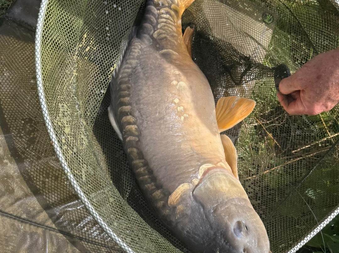 Shirkoak Farm Fishery and Bed & Breakfast-Woodchurch必去景点